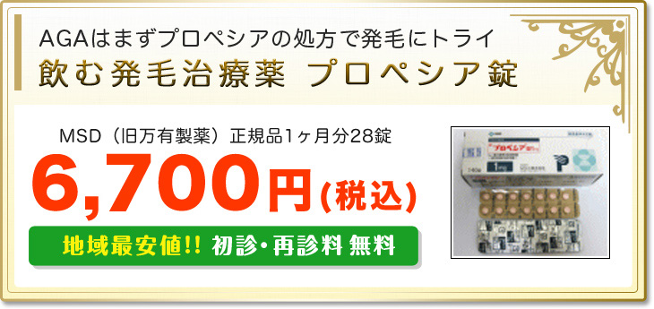 飲む発毛治療薬 プロペシア錠 6500円
