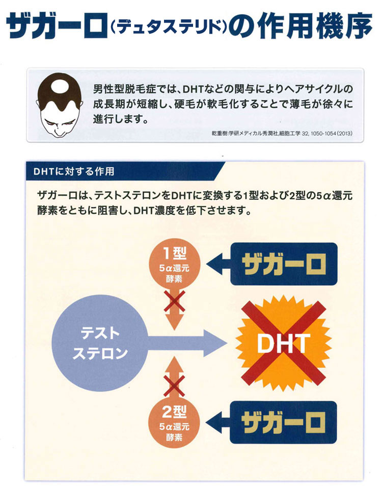 最新薬 ザガーロ